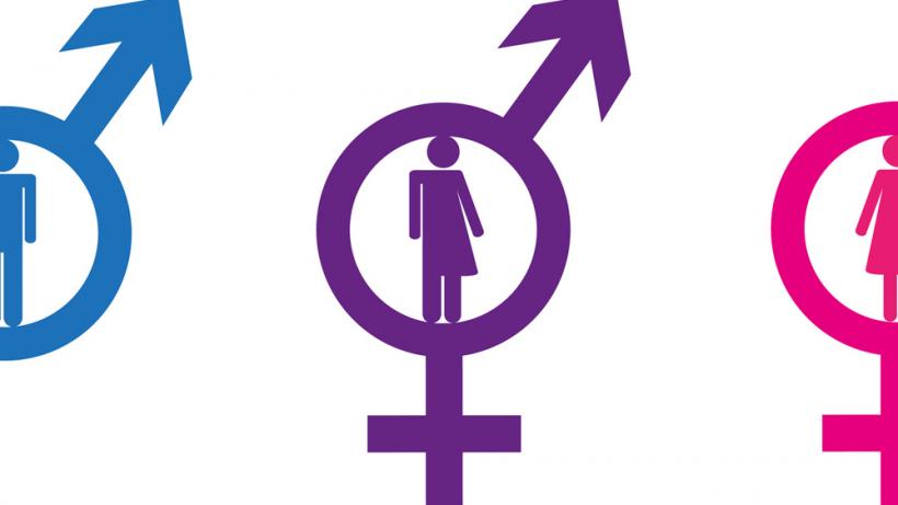 Bild: stellenpakete.de