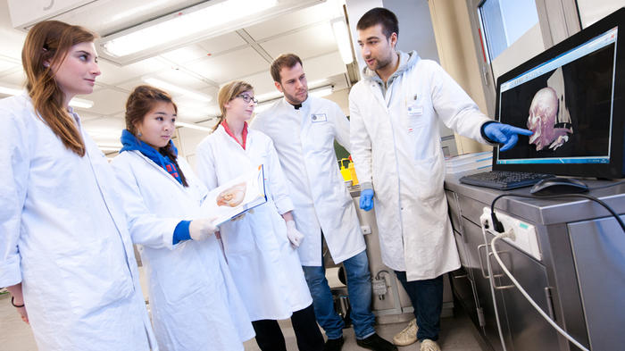 Bild: Uni Heidelberg